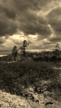 Szary + Sepia