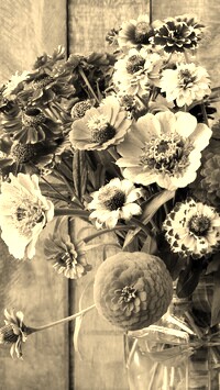 Szary + Sepia