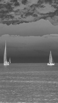 Szary + Negatyw