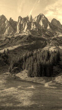 Szary + Sepia