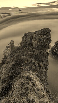 Szary + Sepia