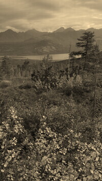 Sepia