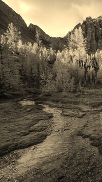 Szary + Sepia