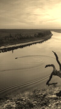 Szary + Sepia