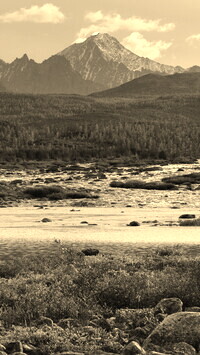 Szary + Sepia
