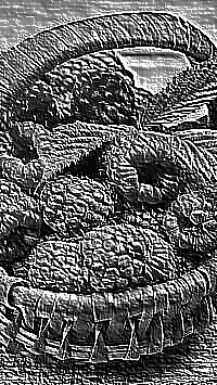 Skamielina
