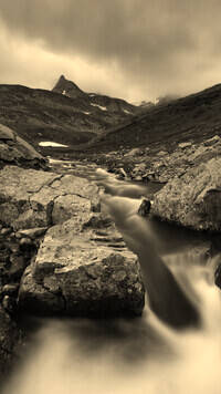 Sepia