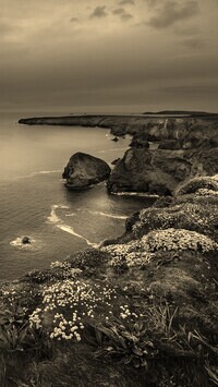Sepia