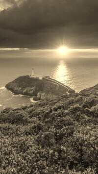 Szary + Sepia