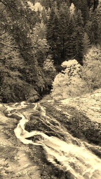 Szary + Sepia