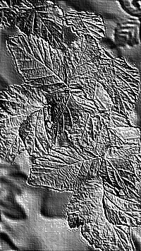 Skamielina