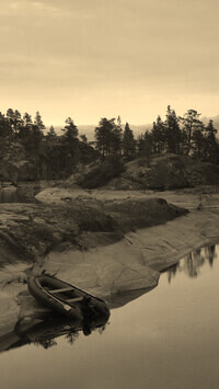 Szary + Sepia