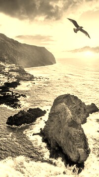 Sepia