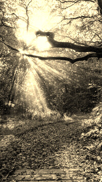 Sepia