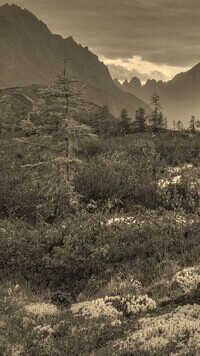 Szary + Sepia