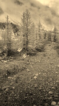 Szary + Sepia