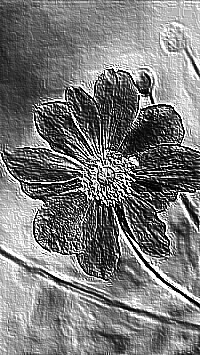Skamielina