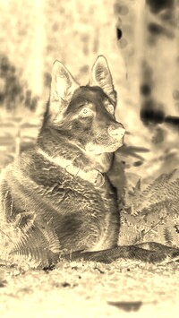 Sepia + Negatyw