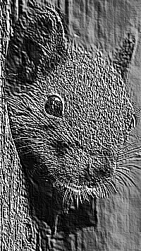 Skamielina