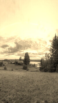 Szary + Sepia