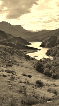 Szary + Sepia