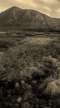 Sepia