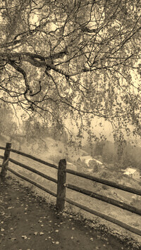 Szary + Sepia
