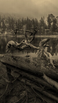 Sepia