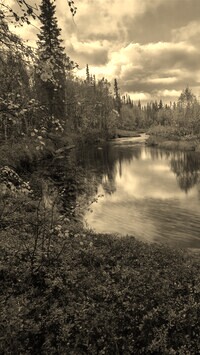Sepia