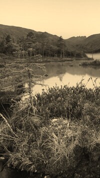 Sepia