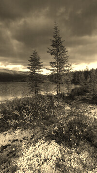 Szary + Sepia