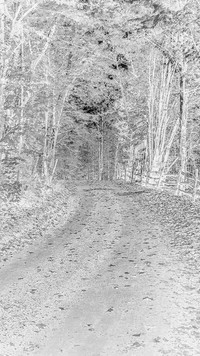 Szary + Negatyw