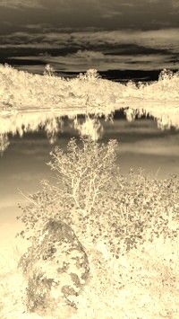 Sepia + Negatyw