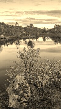 Szary + Sepia