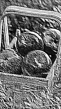 Skamielina