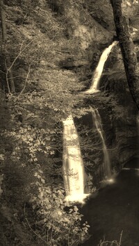 Szary + Sepia