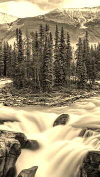 Sepia