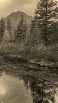 Szary + Sepia
