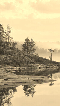 Szary + Sepia