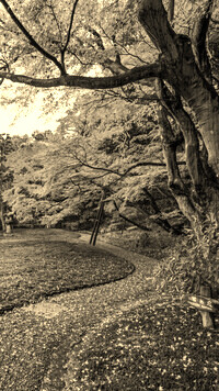 Sepia