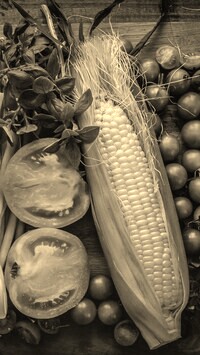 Sepia