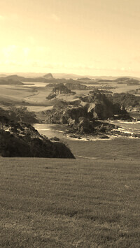 Sepia