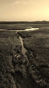 Szary + Sepia