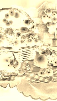 Sepia + Negatyw