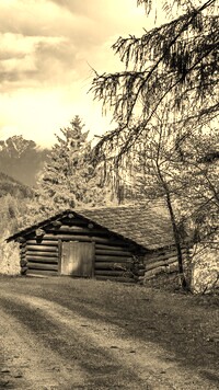 Sepia
