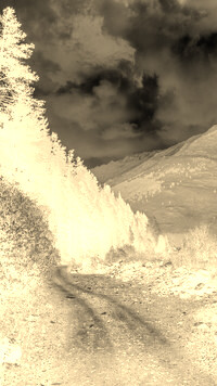 Sepia + Negatyw