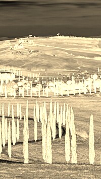 Sepia + Negatyw