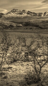 Szary + Sepia