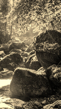 Sepia