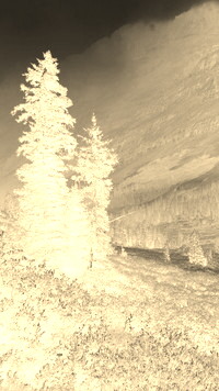 Sepia + Negatyw